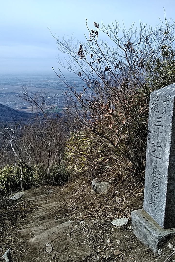 イメージ 8