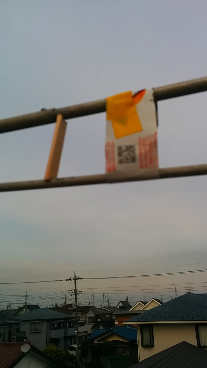 イメージ 3