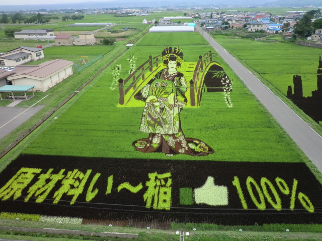 イメージ 4
